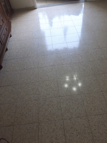 דוגמא לפוליש 3